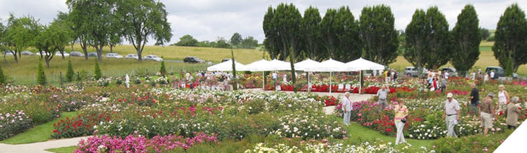 Rosengarten Haigerloch Rosengarten Haigerloch