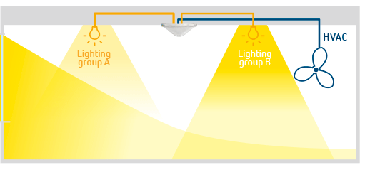 Gerichtete-Lichtmessung_thePrema_Grafik_en